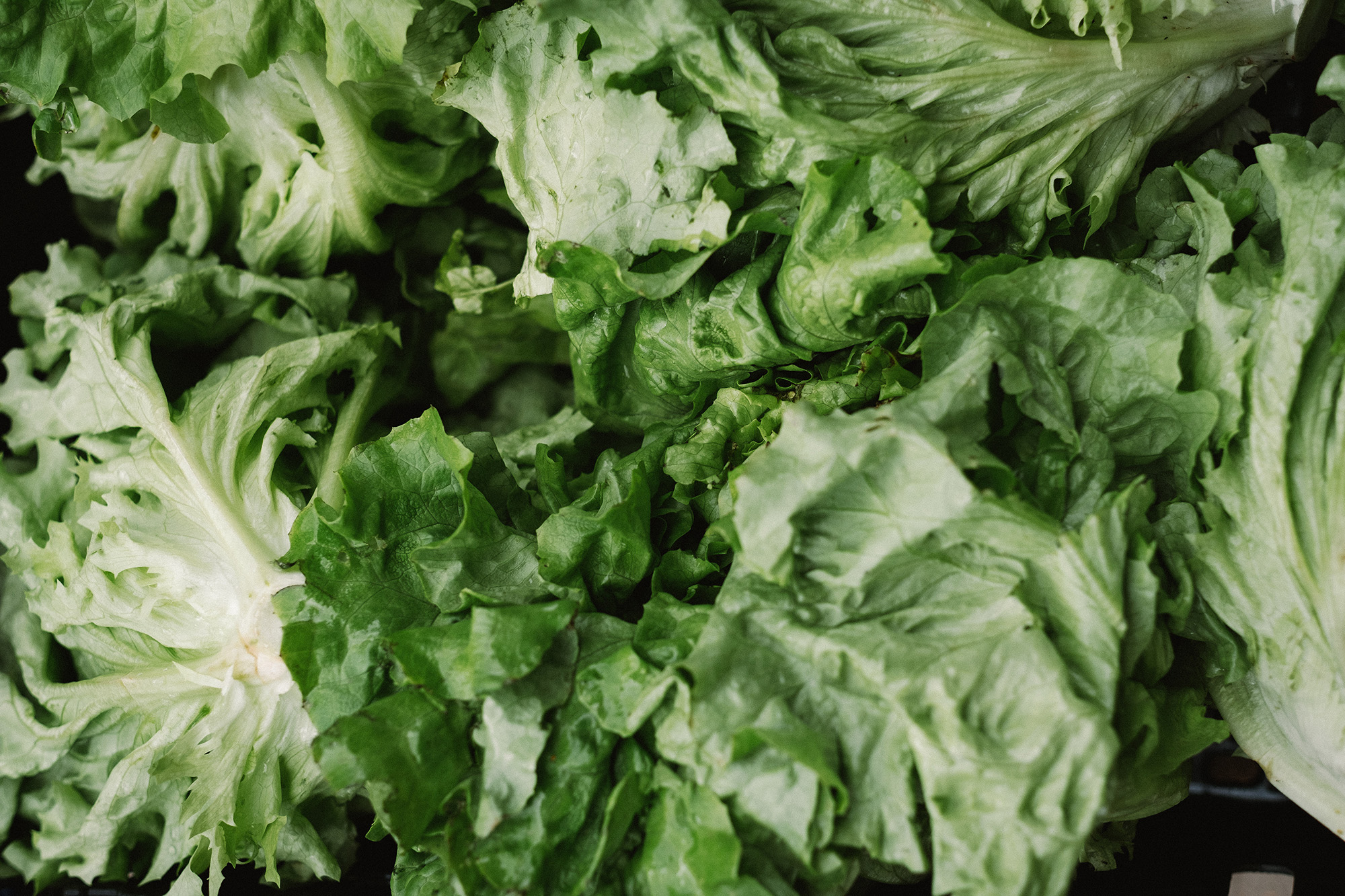 Greengrocer-2