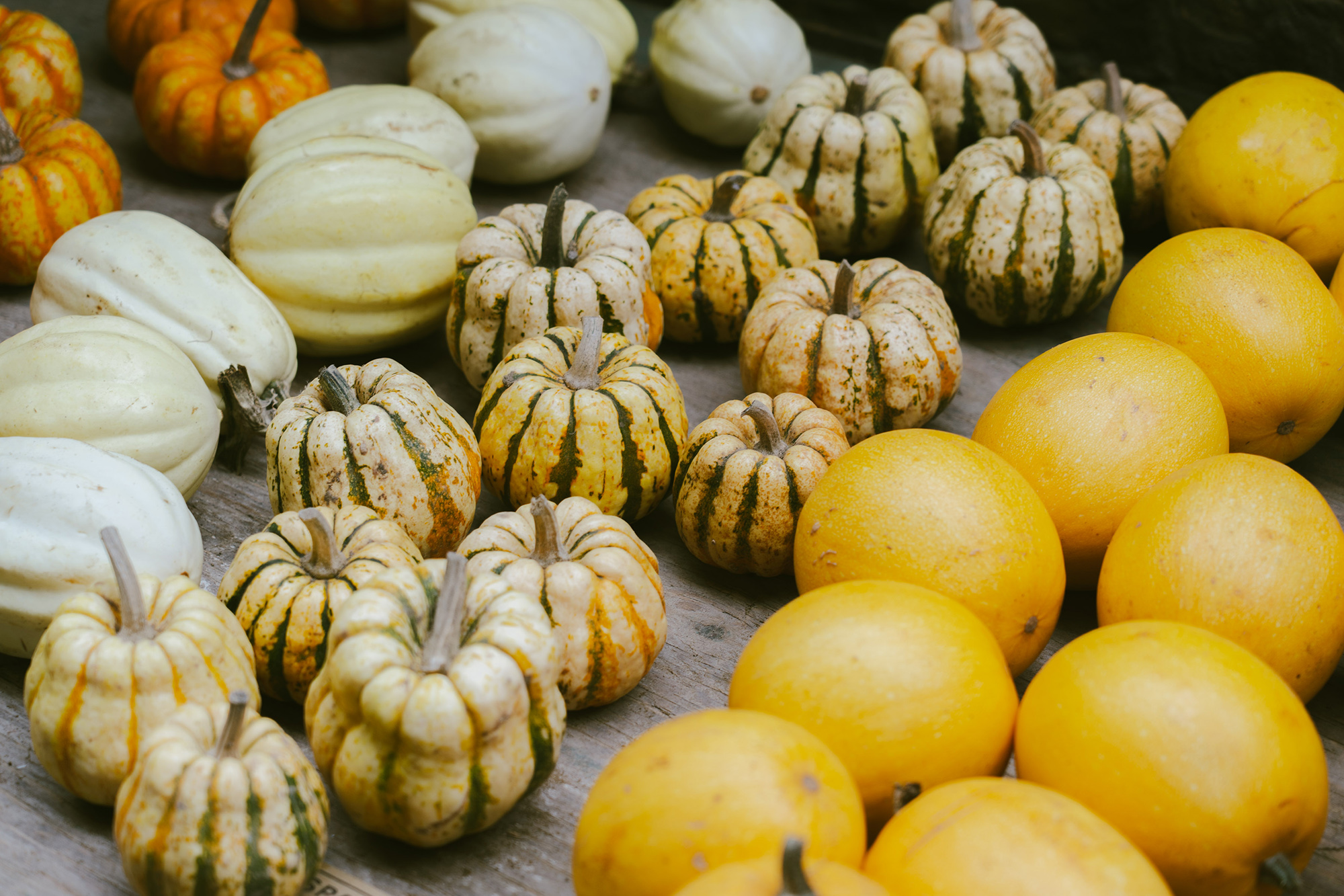 Greengrocer move-20260213-10