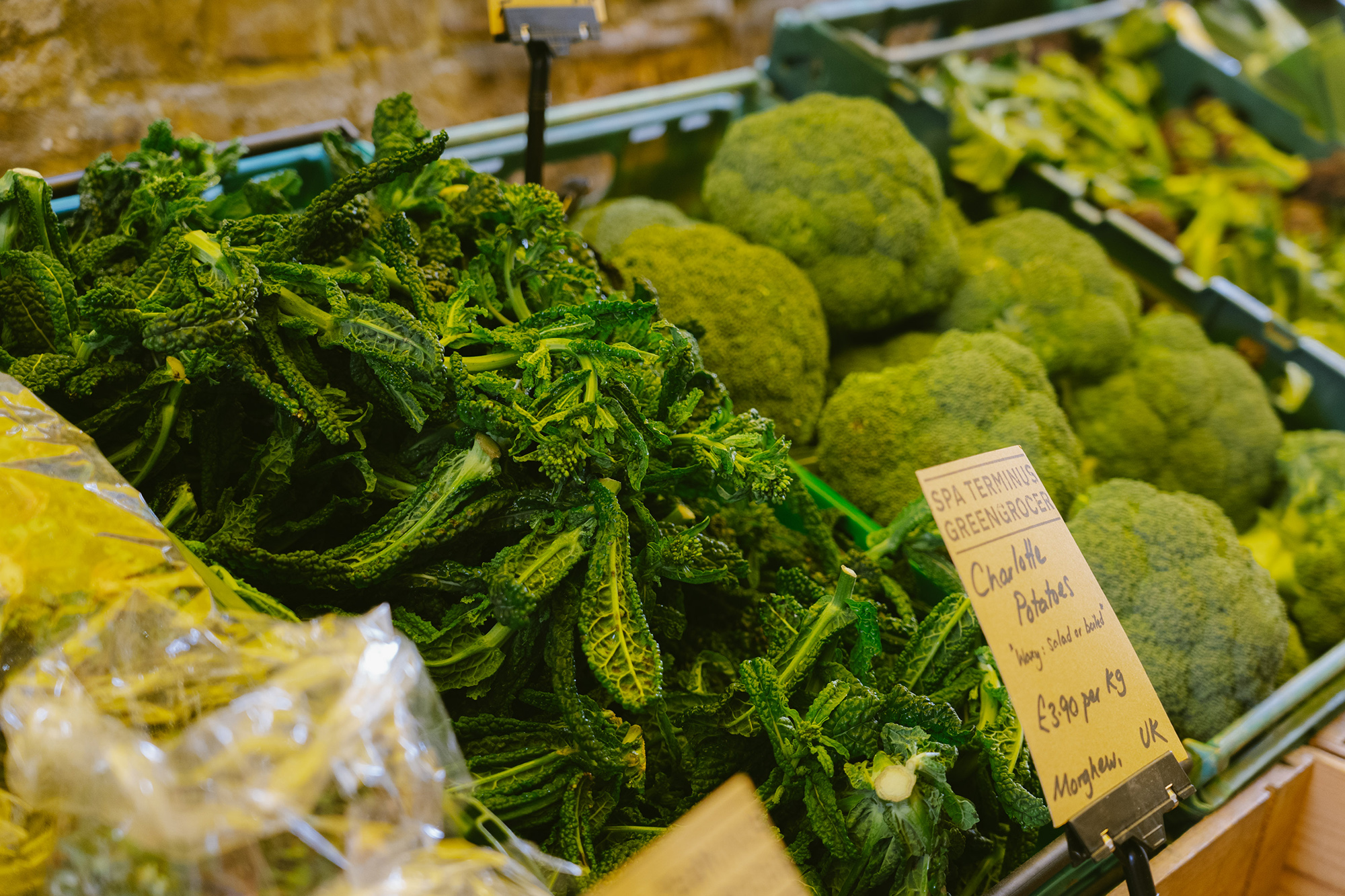 Greengrocer move-20260213-22