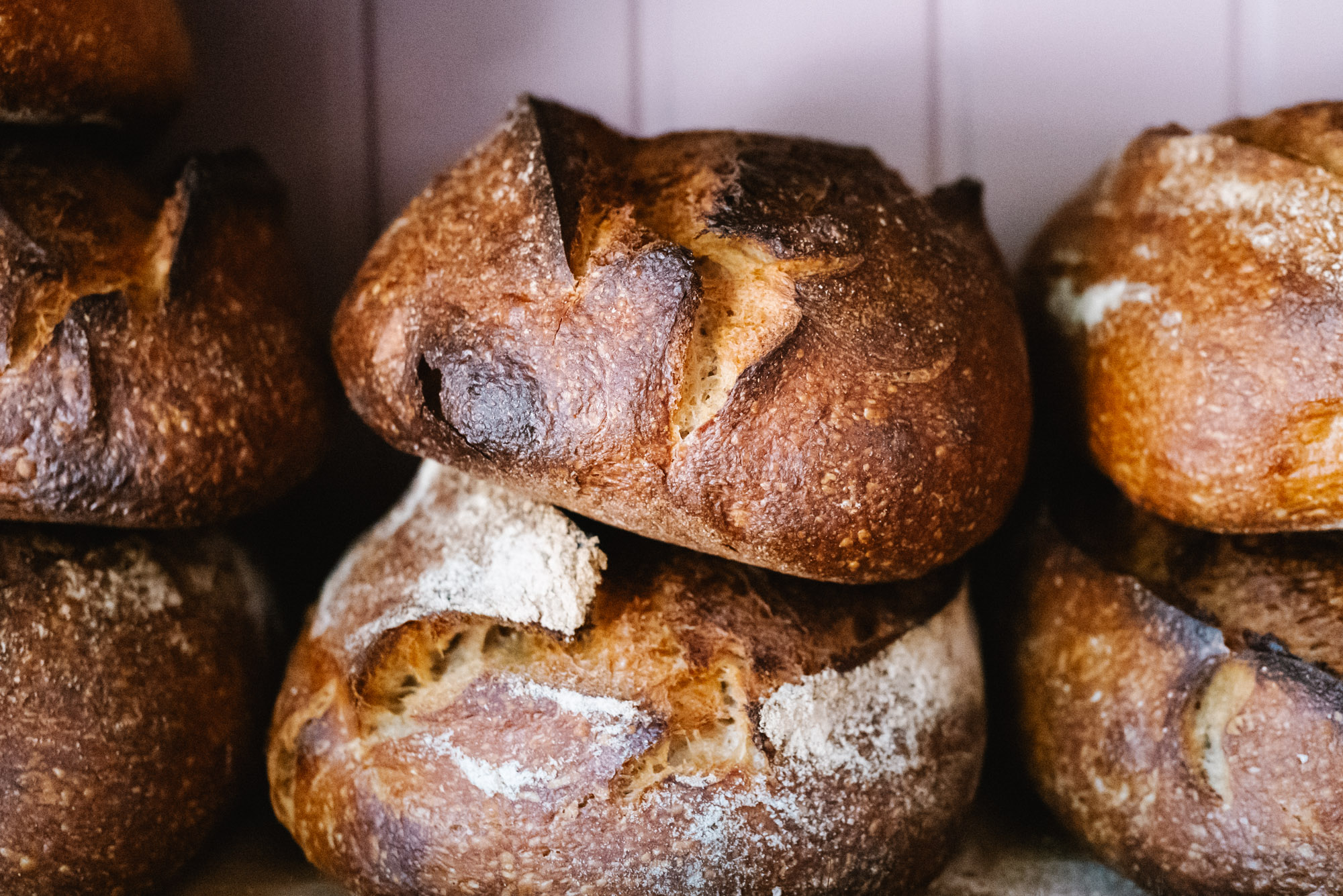 Sourdough Sophia